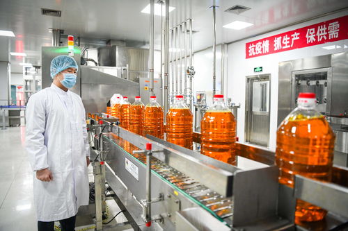 在高水平開放中邁向振興 外資加大投資東北現(xiàn)象觀察與油脂產(chǎn)業(yè)發(fā)展新機(jī)遇